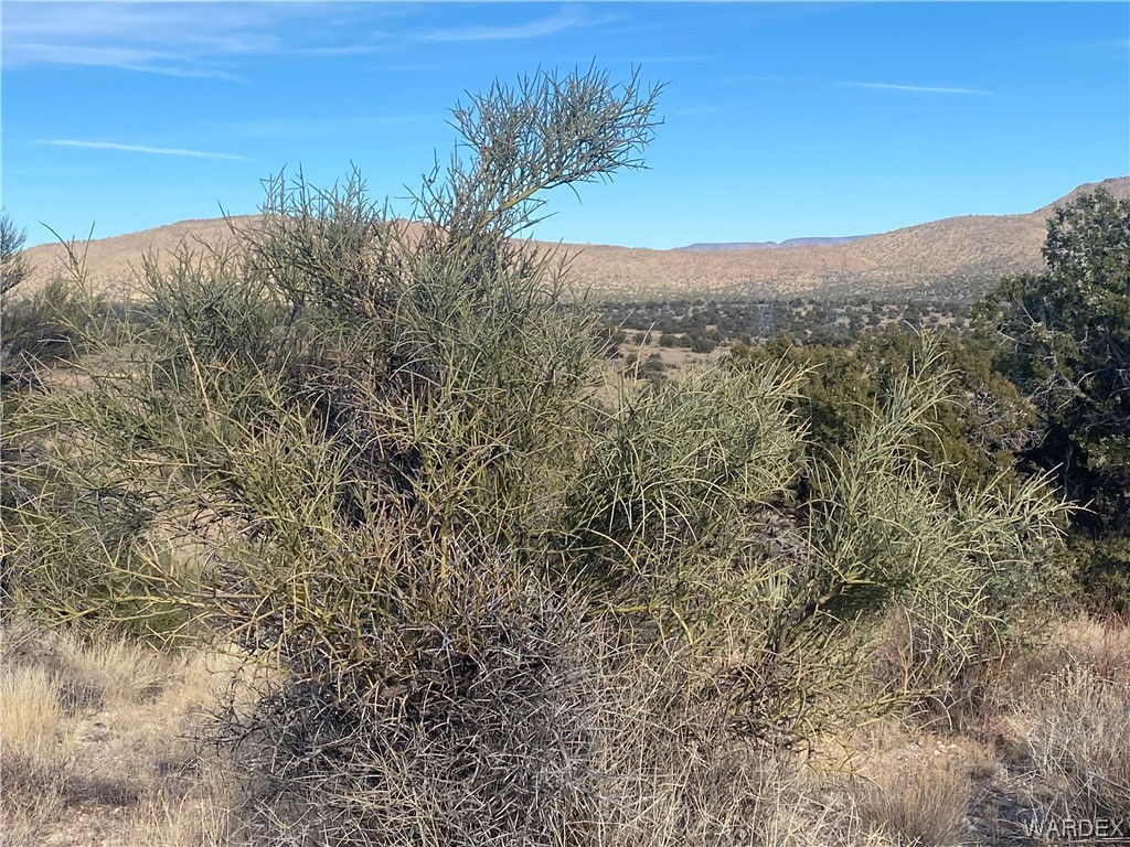 0 North Stephan Road Kingman, AZ 86401 - Photo 11 of 19 View