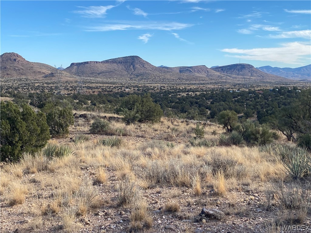 0 North Stephan Road Kingman, AZ 86401 - Photo 13 of 19 View