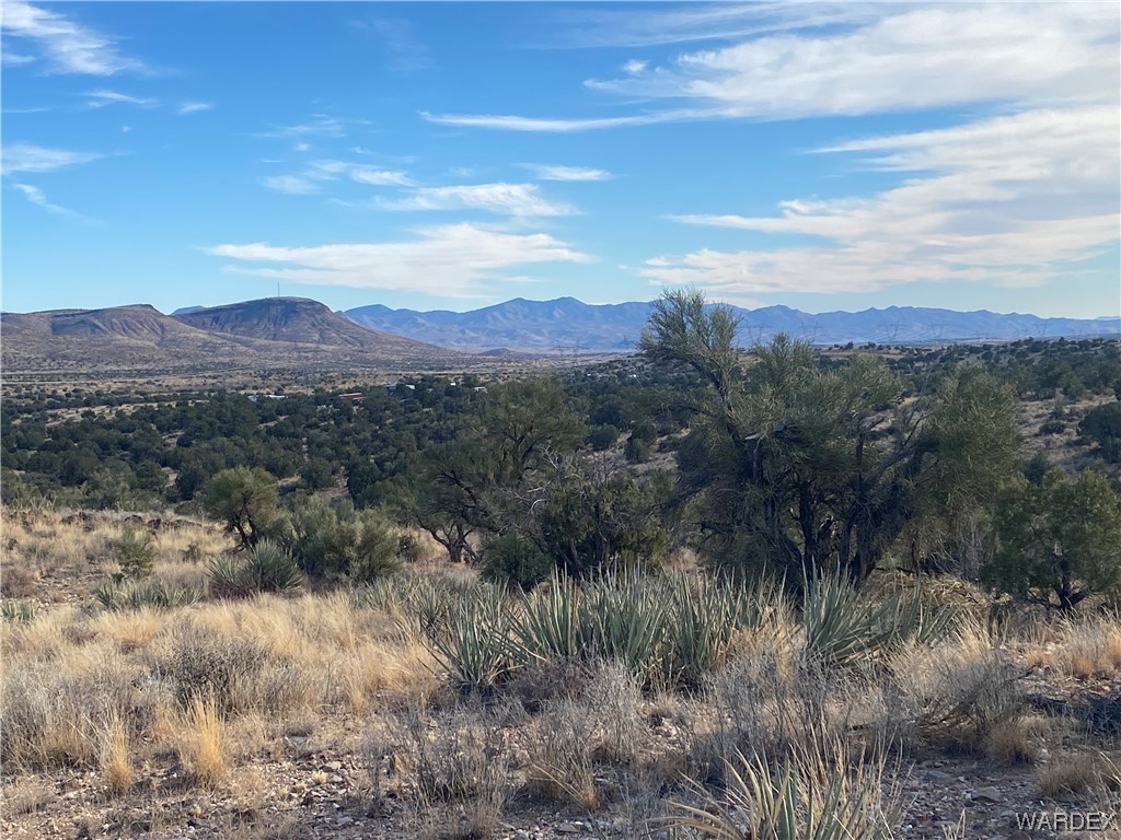0 North Stephan Road Kingman, AZ 86401 - Photo 14 of 19 View
