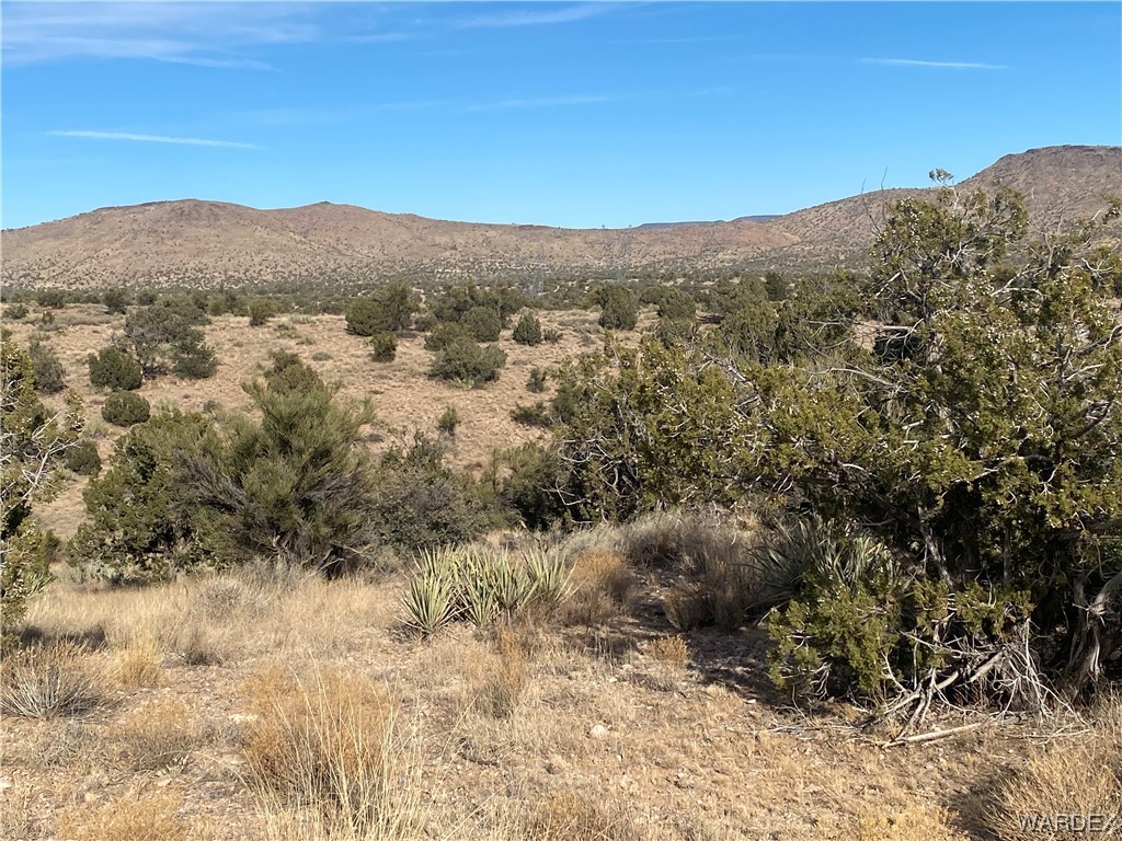 0 North Stephan Road Kingman, AZ 86401 - Photo 15 of 19 View
