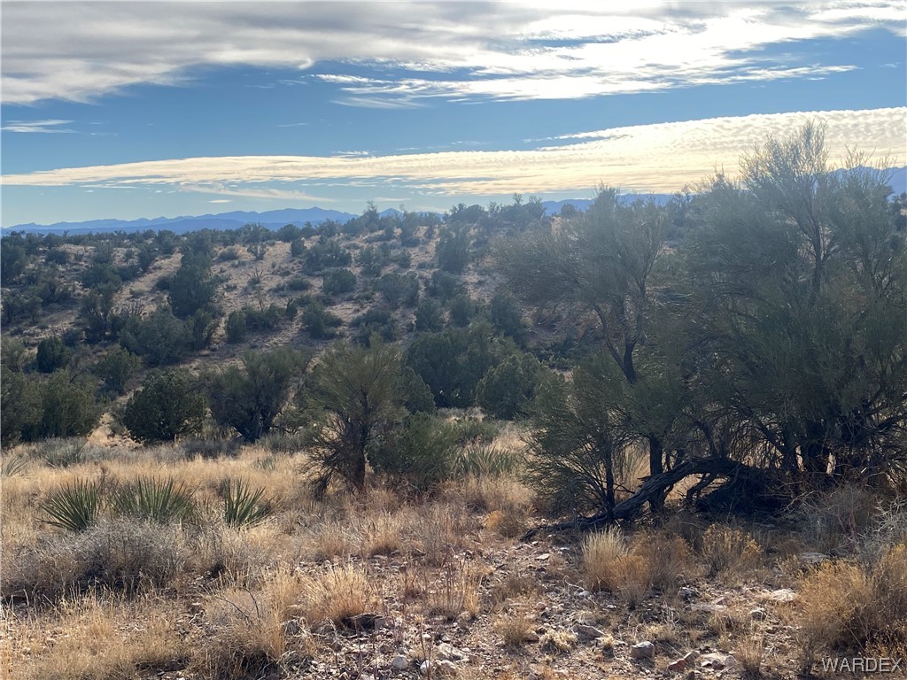 0 North Stephan Road Kingman, AZ 86401 - Photo 17 of 19 View