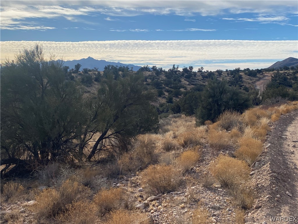 0 North Stephan Road Kingman, AZ 86401 - Photo 18 of 19 View