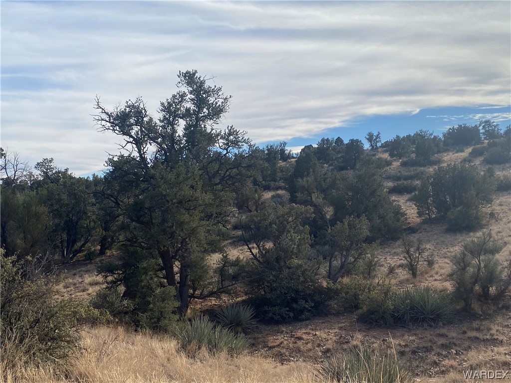 0 North Stephan Road Kingman, AZ 86401 - Photo 19 of 19 Other