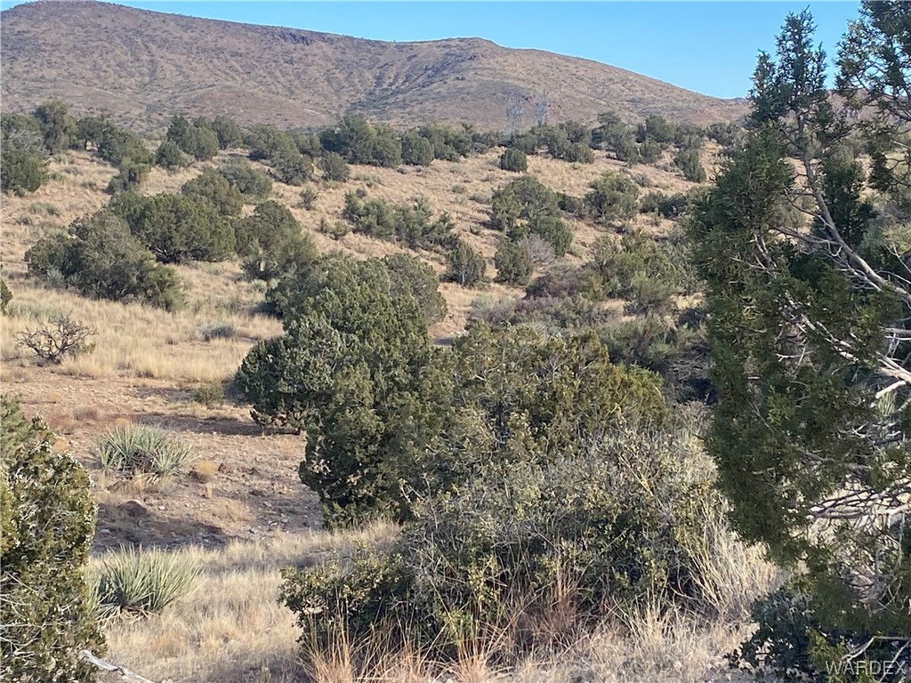 0 North Stephan Road Kingman, AZ 86401 - Photo 6 of 19 View