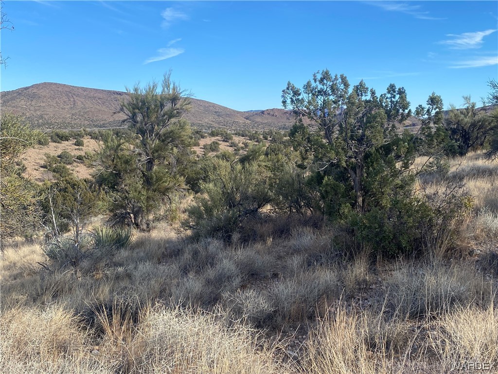 0 North Stephan Road Kingman, AZ 86401 - Photo 7 of 19 View