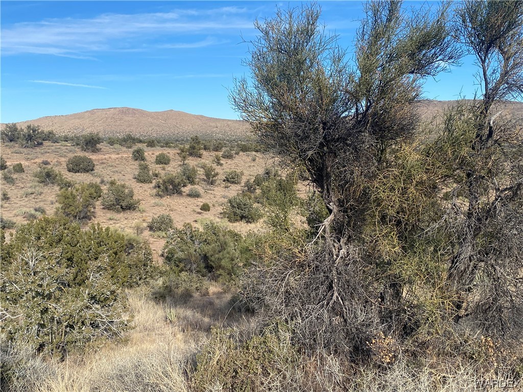 0 North Stephan Road Kingman, AZ 86401 - Photo 8 of 19 View