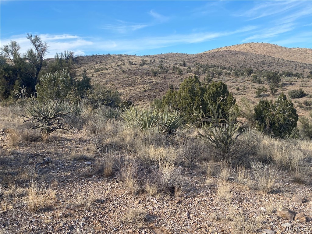 0 North Stephan Road Kingman, AZ 86401 - Photo 10 of 19 View