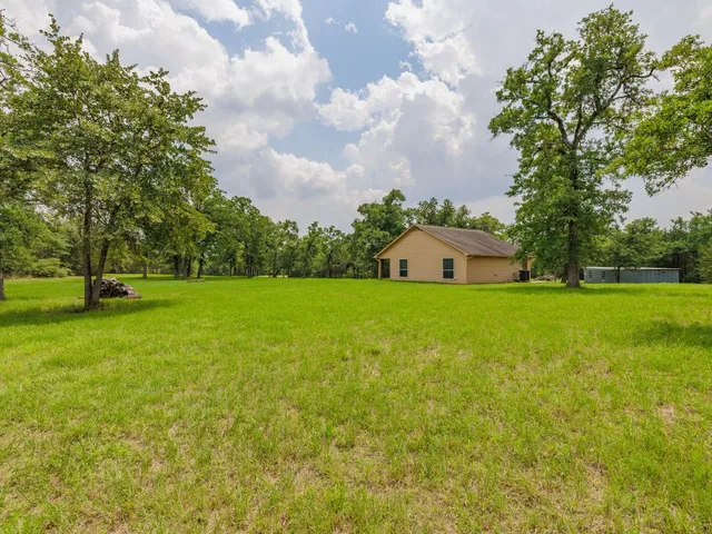 a view of green field with tree in the background