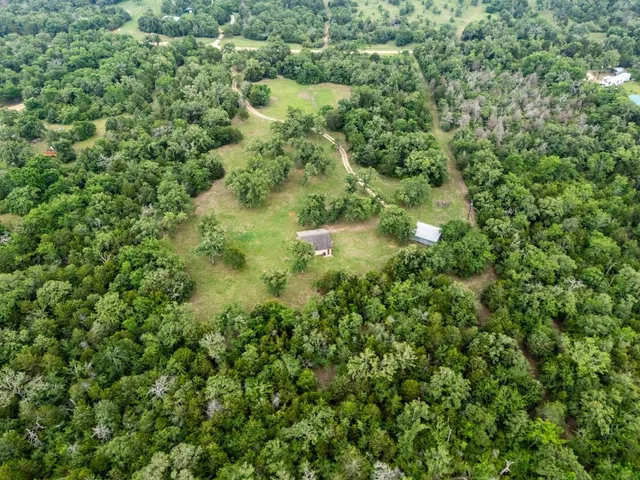 a view of a lush green forest with a houses