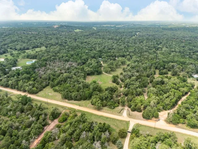 a view of a green yard with large trees