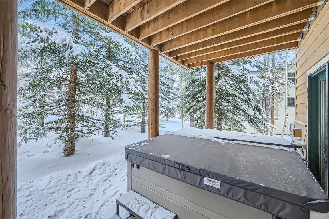 400 Kings Crown Road, Unit 400 Breckenridge, CO 80424 - Photo 30 of 40 a view of backyard with green space