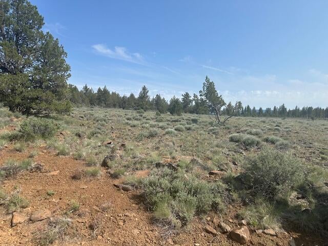 Nagel Ridge Way Chiloquin, OR 97624 - Photo 4 of 4 IMG_8421
