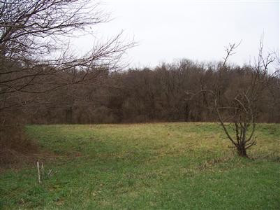 35 Mccullum Road Independence, KY 41051 - Photo 4 of 7