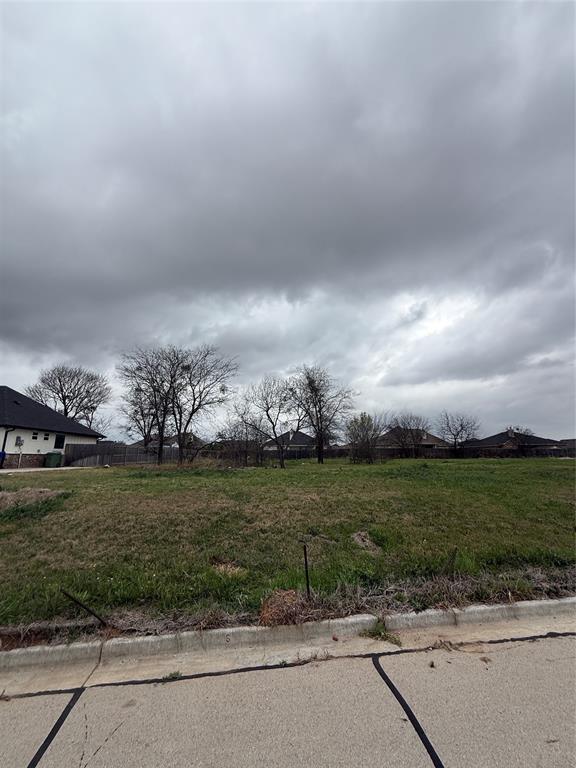 10104 T Bury Lane Waco, TX 76708 - Photo 1 of 1 View of residential lot with a few trees
