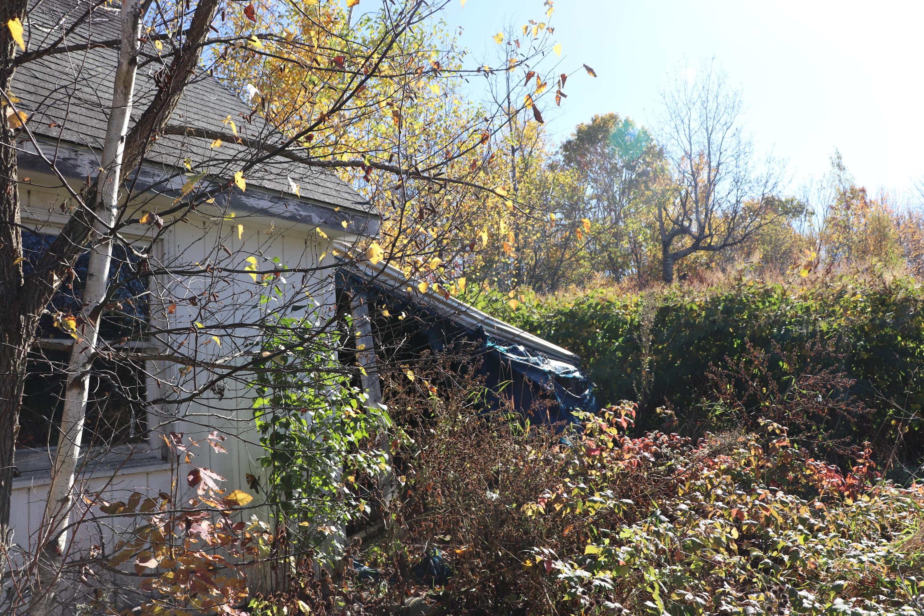 905 Ledge Hill Road Corinth, ME 04427 - Photo 7 of 23 IMG_3548