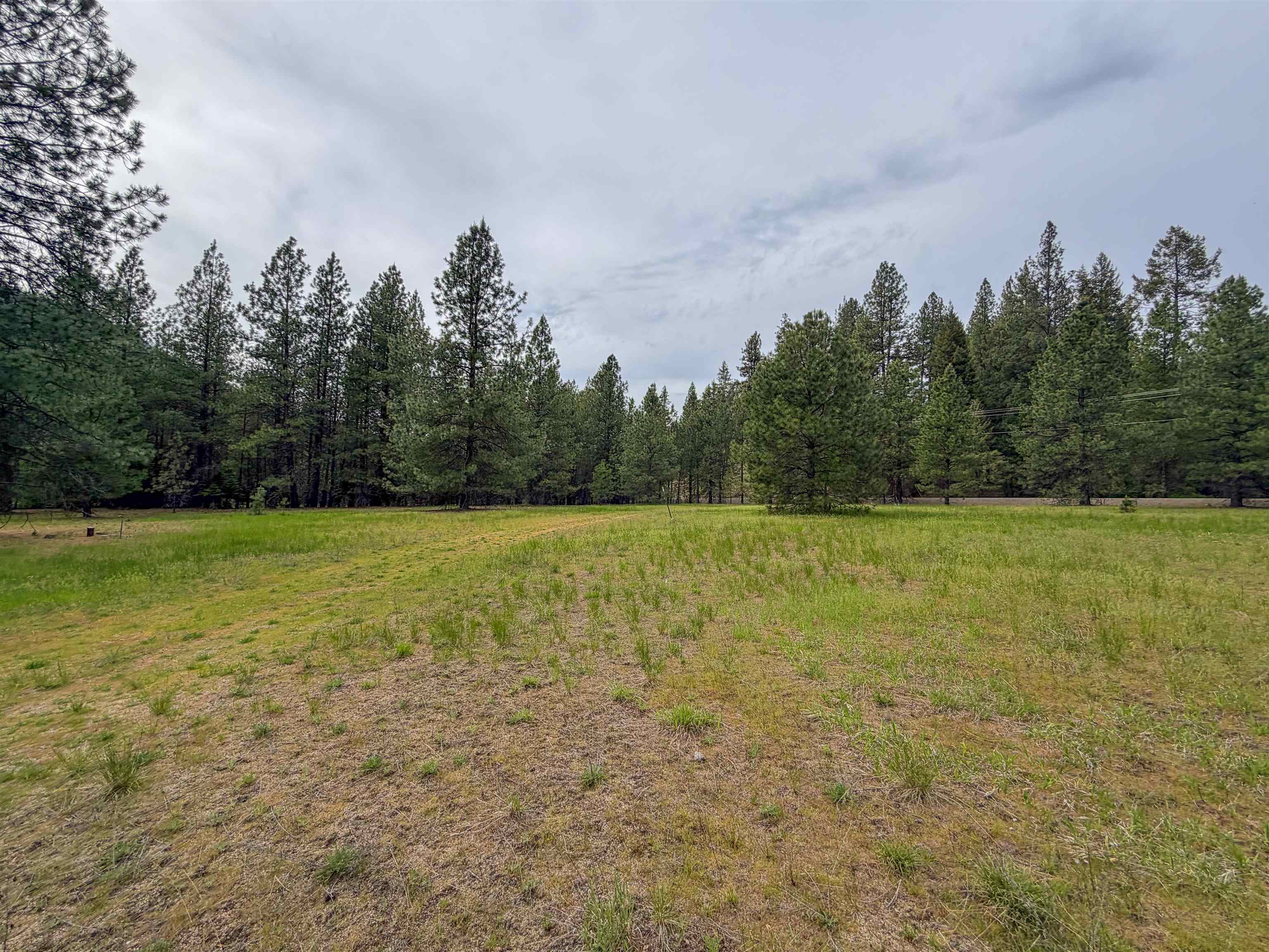 14451 LeClerc Road North Cusick, WA 99119 - Photo 5 of 33