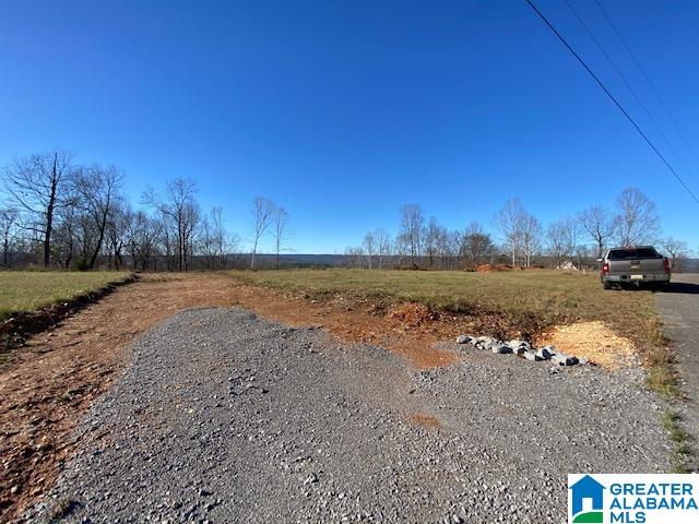 414 Stone Ridge, Unit 5 AND 6 Springville, AL 35146 - Photo 18 of 20