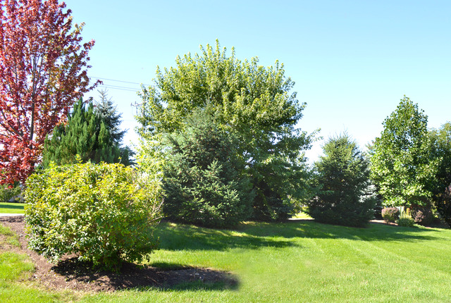 683 Greenfield Road Sugar Grove, IL 60554 - Photo 24 of 25