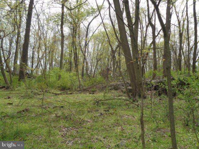 415 Greason Road Carlisle, PA 17015 - Photo 39 of 94 Gallery Image 39