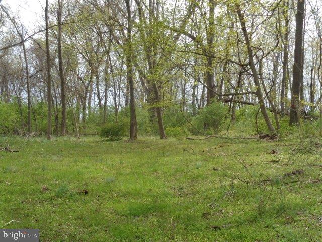 415 Greason Road Carlisle, PA 17015 - Photo 40 of 94 Gallery Image 40