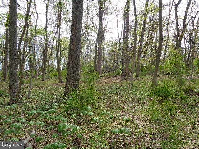 415 Greason Road Carlisle, PA 17015 - Photo 42 of 94 Gallery Image 42