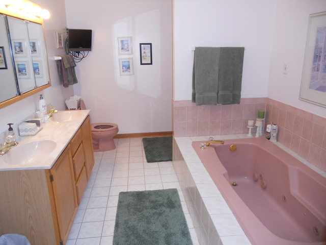 97 Monee Road Park Forest, IL 60466 - Photo 12 of 25 a bathroom with a tub sink and mirror