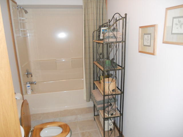 97 Monee Road Park Forest, IL 60466 - Photo 19 of 25 a bathroom with a bathtub and shower