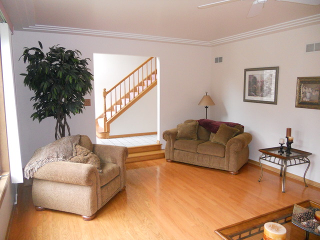 97 Monee Road Park Forest, IL 60466 - Photo 3 of 25 a living room with furniture and a potted plant
