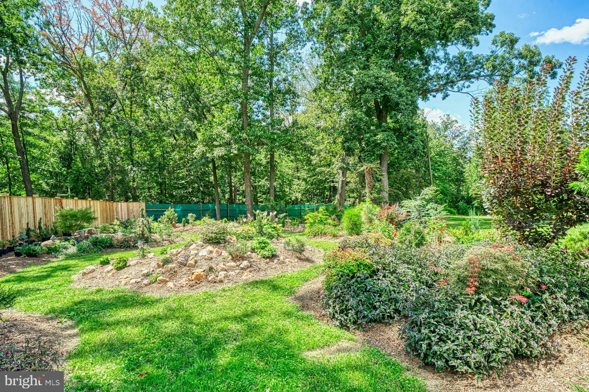 16555 Old Waterford Road Paeonian Springs, VA 20129 - Photo 80 of 92 a view of yard with green space