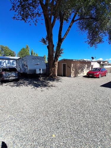 962-17 17 1/4 Road Fruita, CO 81521 - Photo 43 of 47