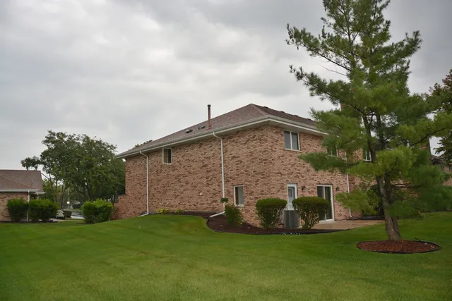 a view of a back yard with plants and large trees