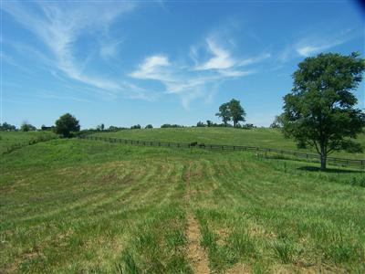 2763 Union Mill Road Nicholasville, KY 40356 - Photo 10 of 13 Photo 10