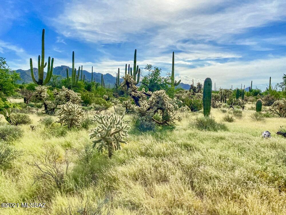 0 North Sandario Road, Unit 3 Tucson, AZ 85743 - Photo 2 of 24