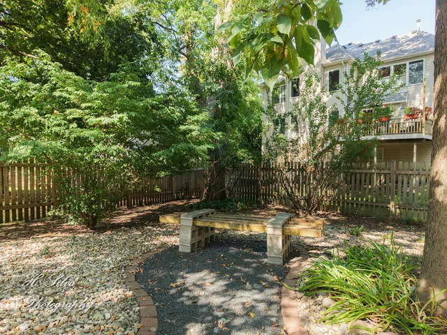 a view of a tree with a yard