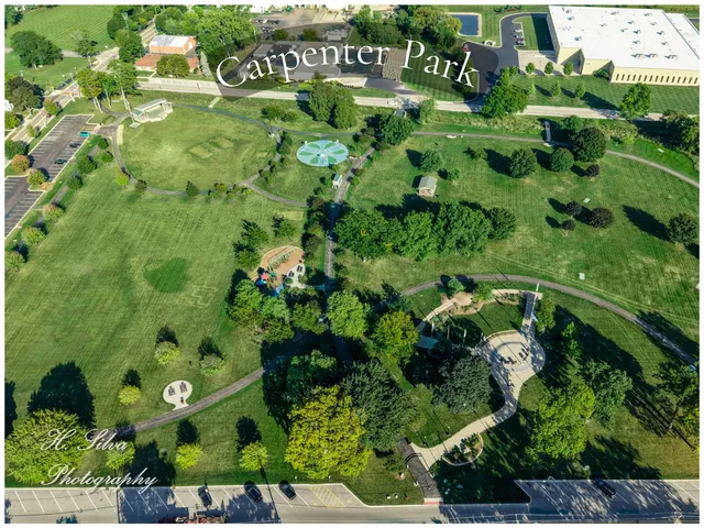 a view of a park with large trees