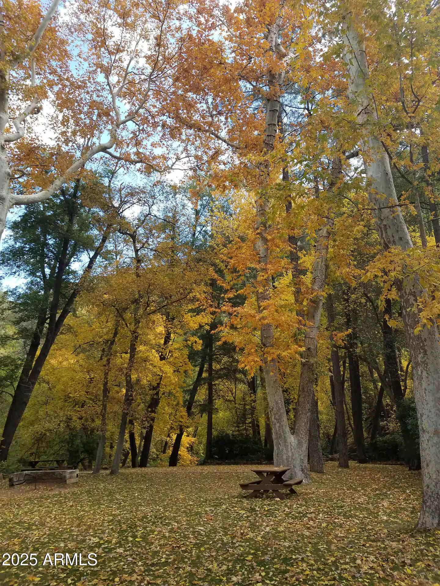 8351 North State Rte 89A, Unit 33 Sedona, AZ 86336 - Photo 35 of 41 a view of outdoor space