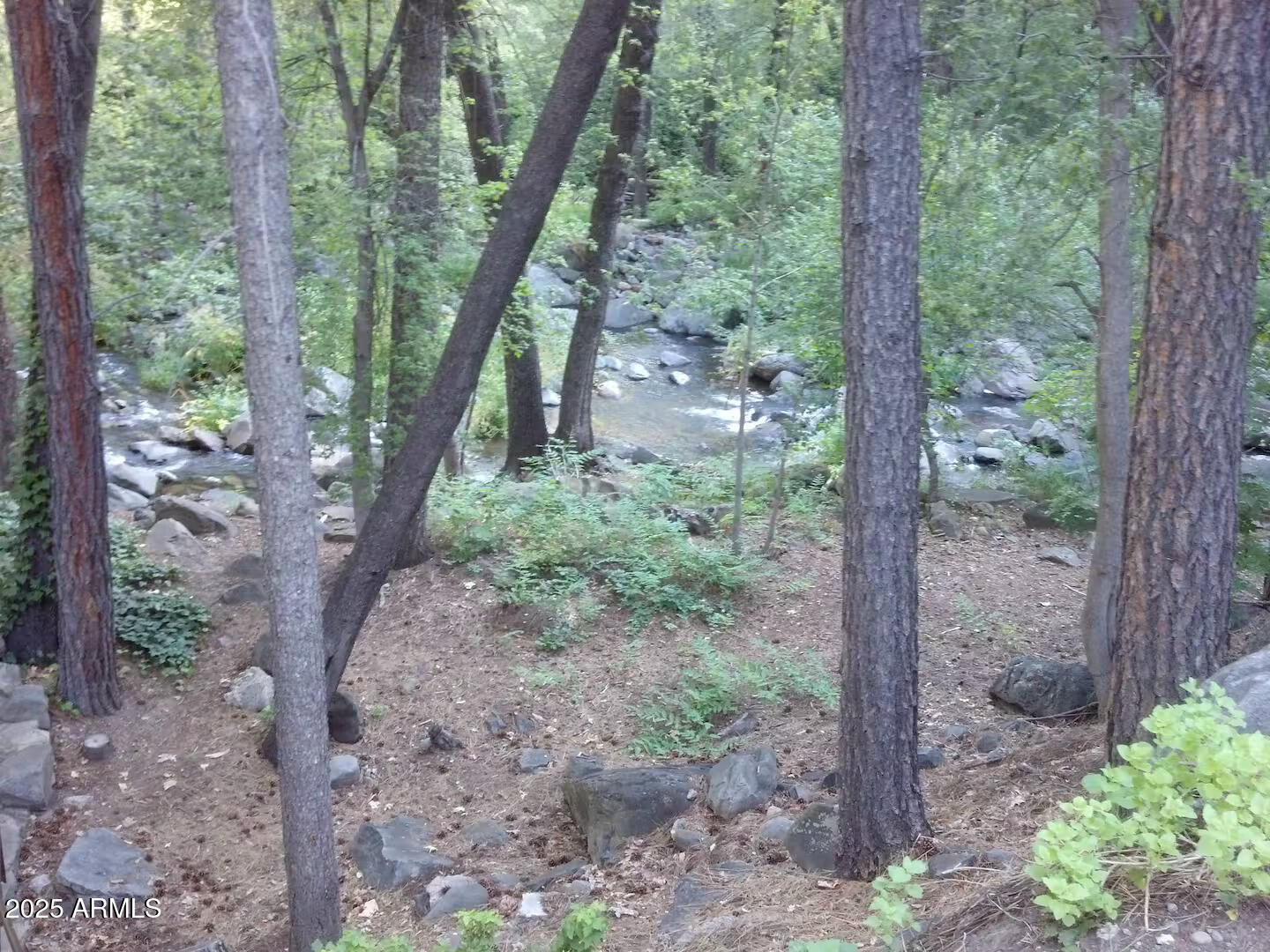 8351 North State Rte 89A, Unit 33 Sedona, AZ 86336 - Photo 37 of 41 a view of a forest that has large trees