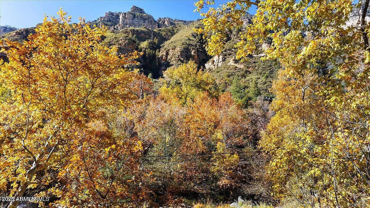 8351 North State Rte 89A, Unit 33 Sedona, AZ 86336 - Photo 40 of 41 a view of a tree in a yard