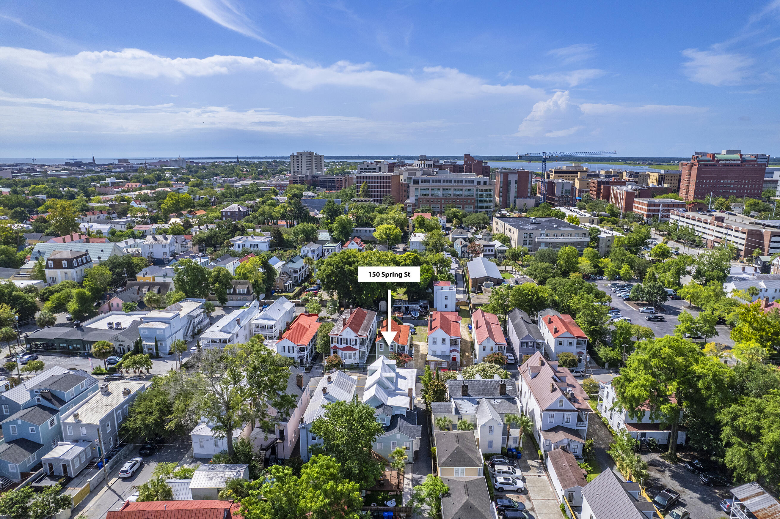 150 Spring Street Charleston, SC 29403 - Photo 106 of 130 Zyndicate_22