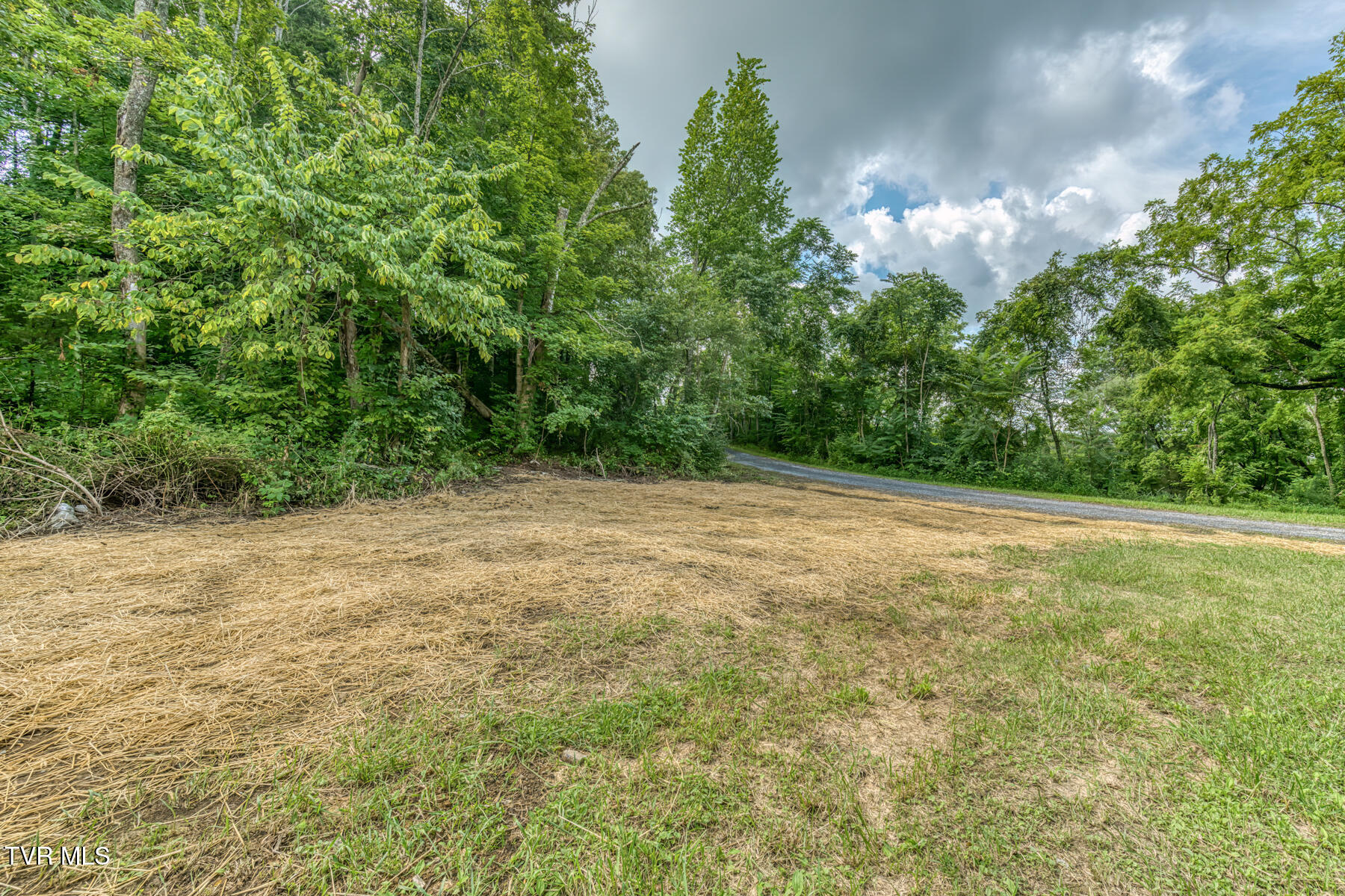 518 V I Ranch Road Bristol, TN 37620 - Photo 38 of 42 ROAD FRONTAGE