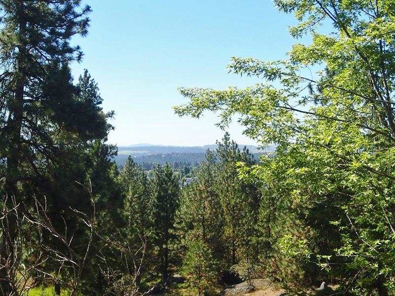 18727 North Division Road Colbert, WA 99005 - Photo 5 of 20
