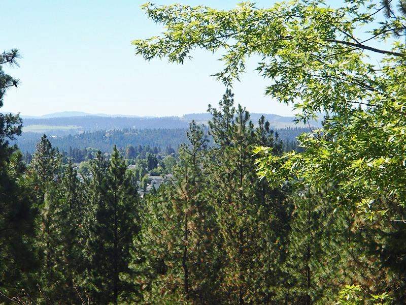 18727 North Division Road Colbert, WA 99005 - Photo 6 of 20