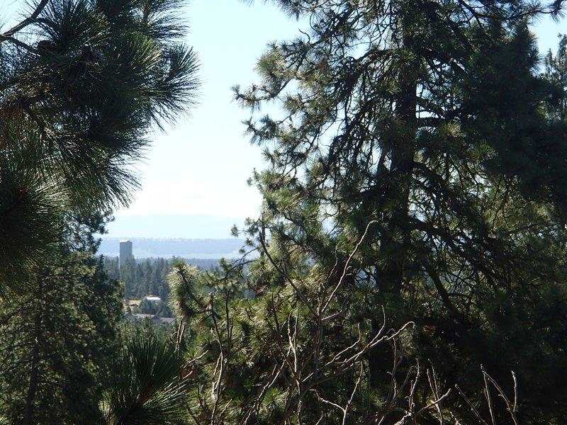 18727 North Division Road Colbert, WA 99005 - Photo 7 of 20