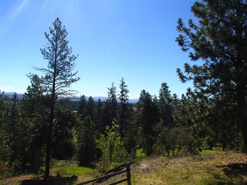 18727 North Division Road Colbert, WA 99005 - Photo 8 of 20