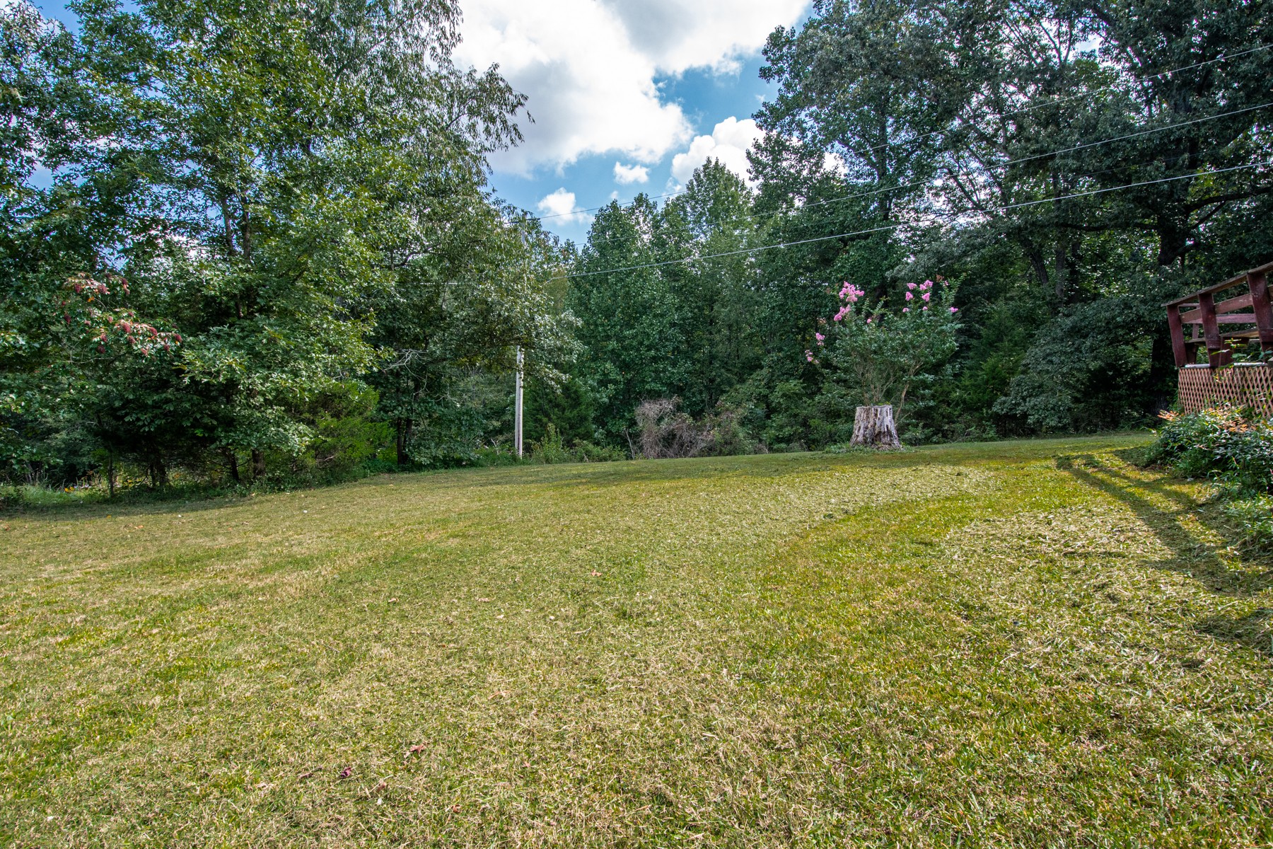 4936 Reeder School Road Greenbrier, TN 37073 - Photo 4 of 19 Gallery Image 4