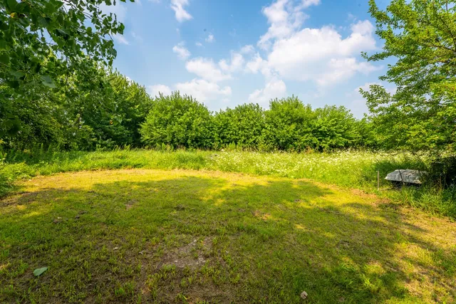 a backyard of a house with plants and large trees