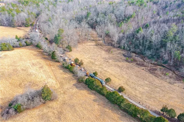 a view of a yard with trees