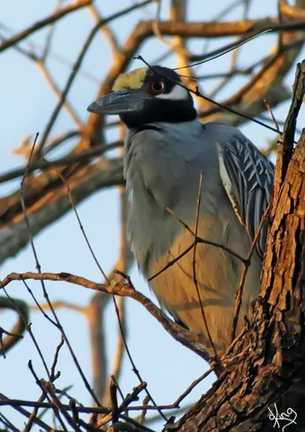 a house with green field in front of it