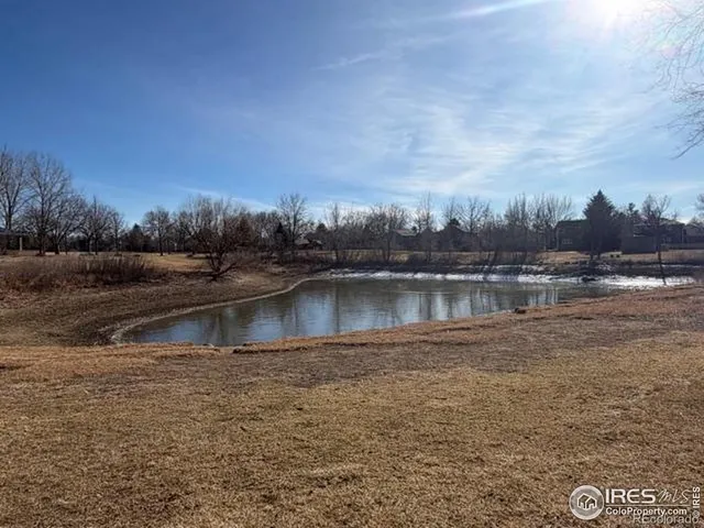 a view of patio and trees