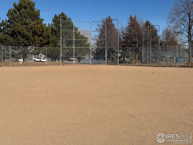 a view of a tennis ground with a large tree